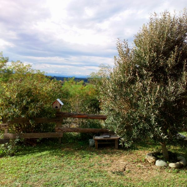 centre nahele sejour detox salies de bearn - 24
